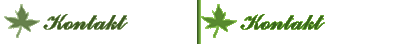 Kontakt